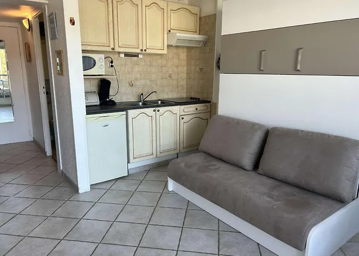 Апартаменты Climatise, Et Piscine, 4 Couchages - Port Camargue - Fr-1-250-151 *